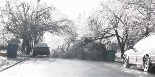 Frozen pipes and falling limbs: Tips to prepare your home for winter weather