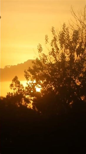 the sunset is beautiful 🌇