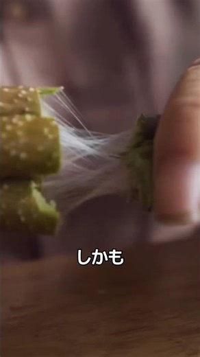3万本の茎を折って作る服
