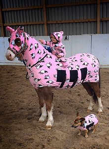 💖✨ Pretty in Pink ✨💖 When fashion becomes a family affair! 🐴👶🐶 From head to hoof (and paw), this trio proves that matching outfits never go out of style. 💕 So tell us… who wore it best? 🌟 🐴 The pony 🐶 The pup 👶 The little rider 📸 Absolute squad goals! 🥰 #PrettyInPink #SquadGoals #MatchingOutfits #fblifestyle #PonyStyle #EquestrianLife #TooCute | Stable Express