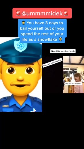 Snowflake #1 has been caught! 🚨