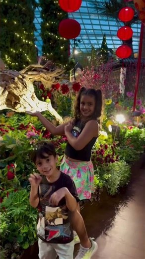 Singapore’s Flower Dome Feels Like Paradise 🌸