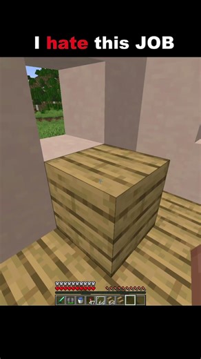 I hat This JOB #minecraft