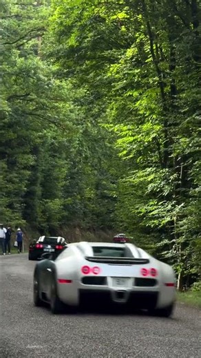Crazy Bugatti line-up 🤯