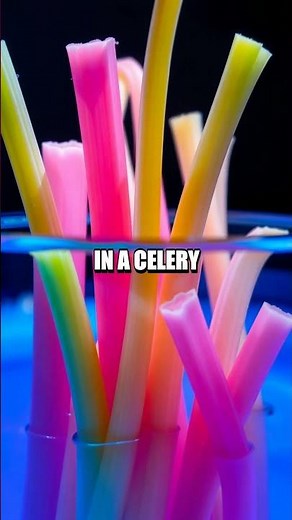 Tiny Tests for Home Scientists Quick Hands-On Experiments