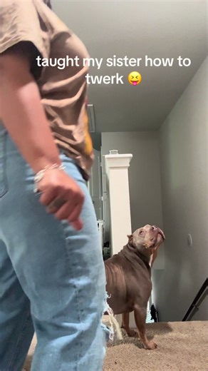 Teaching My Sister How to Twerk with Dogs