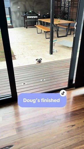 This Funny Pug Talking and Barking Will Make You Laugh 😂