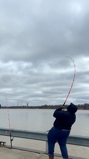 894K views · 5.3K reactions | Got em' #fishing | Everett Mathis Jr. | Facebook
