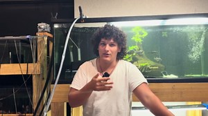 Probably not the smartest idea: He placed a trap in a gator-filled canal