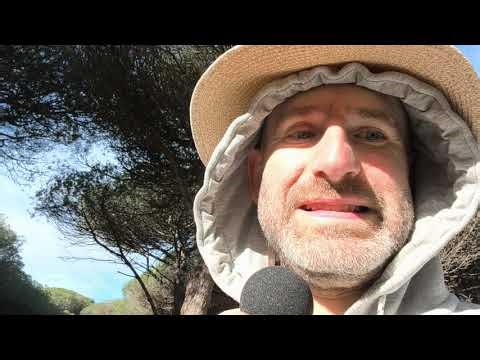 Asmr cesky prochaska