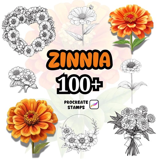 Procreate Flower Brushes, 100  Zinnia Flower Procreate Brushes, Floral Procreate, Procreate Brushes, Plants, Wild Flowers, Zinnia Flowers