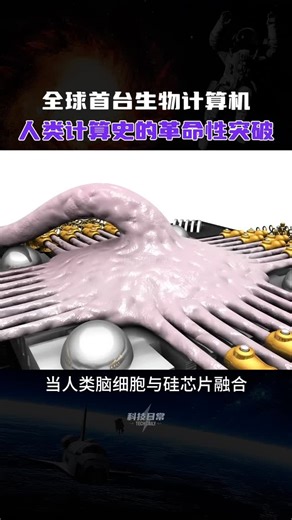Remember you enterprise 记得你电脑店 on Instagram: "全球首台生物计算机，人类计算史的革命性突破！ 全球首台生物计算机，人类计算史的革命性突破！"