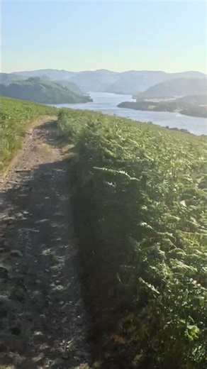 Cycling through this Ullswater path though 😍 #lakedistrict #scenery