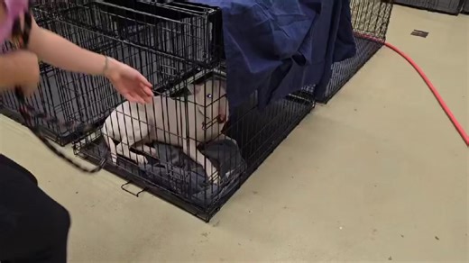 28K views · 838 reactions | Located near Cinci and LF long term...