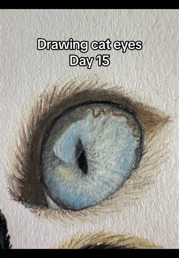 Mastering Cat Eye Drawings: Day 15 of Art Challenge