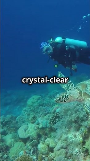 Africa’s Underwater Jewel Lake Malawi #tour #tourism #travel #holiday #travelvlog #holiday