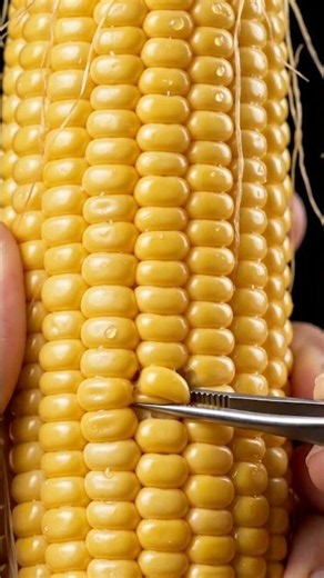 Corn Kernel Extraction ASMR 🌽 Tweezers Pull Out a Single Kernel in Ultra Macro Detail