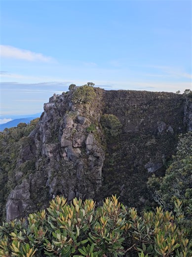 To the parents stumbling through bedtime stories in a language they didn’t grow up fully speaking. To the kids-turned-adults still trying, still reaching for words that don’t always come easily. We see you. What you’re doing matters. Even if it’s messy, it is cherished. #bilingual #desi #indian #childrensbook