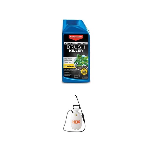 2 Gallon Lawn and Garden Pump Sprayer with 32 oz. Brush Killer Concentrate Combo - The Home Depot