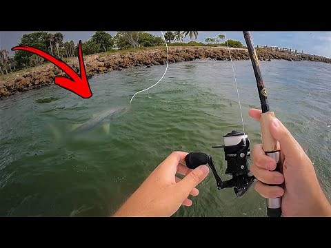 INSHORE SNOOK FISHING NAPLES FLORIDA!