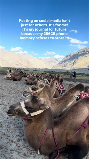 Posting content on social media to create a digital library for saving space on mobile phone | Memes