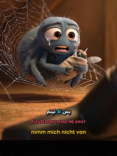 Secret Messages from Your Home Insects You Need to Know