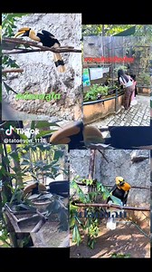 สวนสัตว์เชียงใหม่ Chiang Mai Zoo on Reels