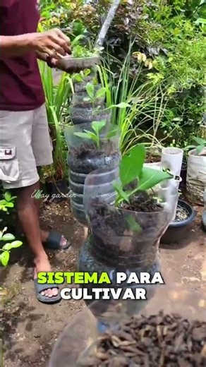 Hydroponics from scratch: how to grow food without soil and save on groceries