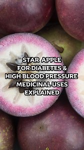 Star Apple for Diabetes & High Blood Pressure Medicinal Uses Explained! Did you know that Chrysophyllum cainito, also known as star apple, has powerful benefits for diabetes and high blood pressure? This tropical fruit isn’t just delicious—it’s packed with compounds that can help regulate blood sugar and lower high blood pressure.! In my latest YouTube video, I break down the medicinal uses of this incredible plant, from its antioxidant-rich leaves to its blood pressure-lowering properties. Want