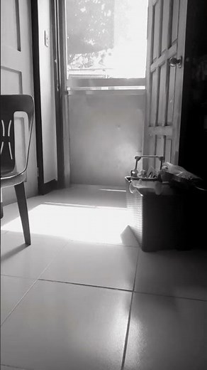 (Jimmyhogs) Preview 2 Dash