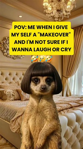 Thursday Humor That Will Make You Laugh Out Loud