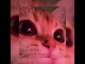 KSLV - Disaster - sped up