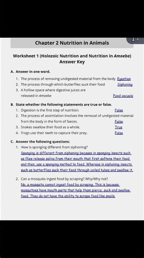 #Science Worksheet Answer Key – Class 🔬📚.