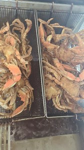 11K views · 202 reactions | I TRULY LOVE GETTING DOWN AND DIRTY IN MY...