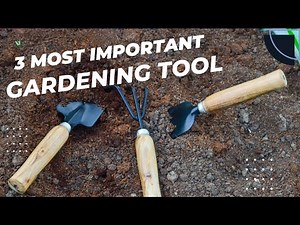 Mini Garden Tool Set of 3 for Home Gardening