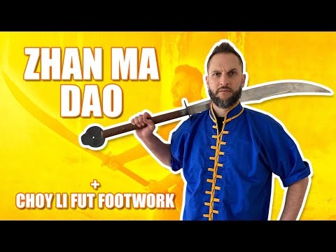 Zhan Ma Dao + Choy Li Fut Footwork