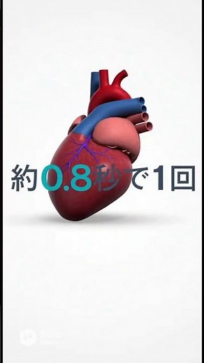 心周期とは？｜心臓が1回動く仕組み #心周期#生理学#人体の機能#医療系学生#臨床工学#言語聴覚士#心臓#医療教育