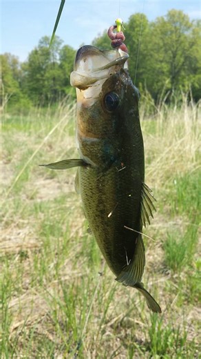 Region anglers | First one of the year | Facebook
