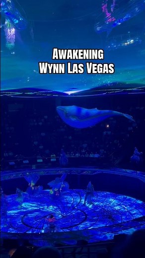 This Whale Is Ginormous!