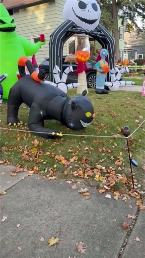 Dog Gets Spooked by Halloween Lawn Decorations