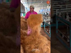 Coir Rope Manufacturing Process From Coconut Husk - Coconut Coir Rope Making Industry