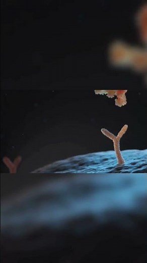 Natural Killer Cells: Your Body’s Cancer Fighters Explained #immunesystem #cancerresearch #cancer