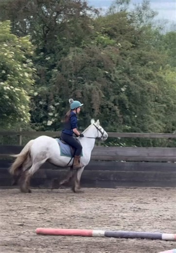 Celebrating Progress in Horse Riding Lessons