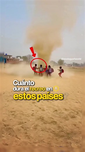 Estos dura el recreo escolar en estos países #parati #viral #fyp #school