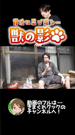 新鮮で美味しい夏の野菜と猫