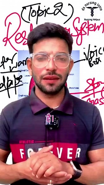 Respiratory System Basics | Easy Nursing Notes