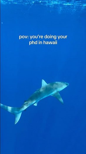 pov: you’re doing your phd in oceanography at uh manoa in hawaii #hawaii #uhmanoa #ocean