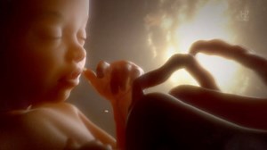 442K views · 3.9K shares | Después de una gran explosión, se formaron constelaciones, estrellas y planetas; uno de ellos: la Tierra. 13 mil millones de años después, nace ahí una especia única, el ser humano. | HISTORY | Facebook