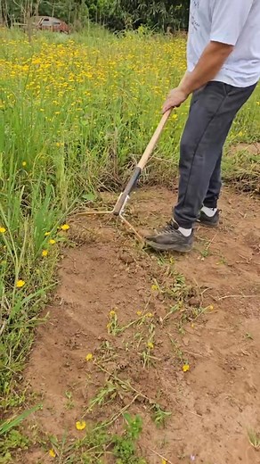 Part 03 #LawnCare #OutdoorCleaning #GardenTools #GrassCleaningTool #YardMaintenance | Loc Waxi