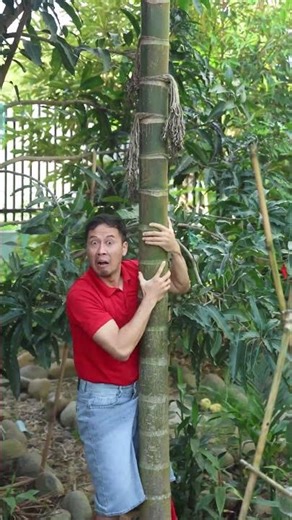 Extreme Pole Climbing Challenge #OopsBros